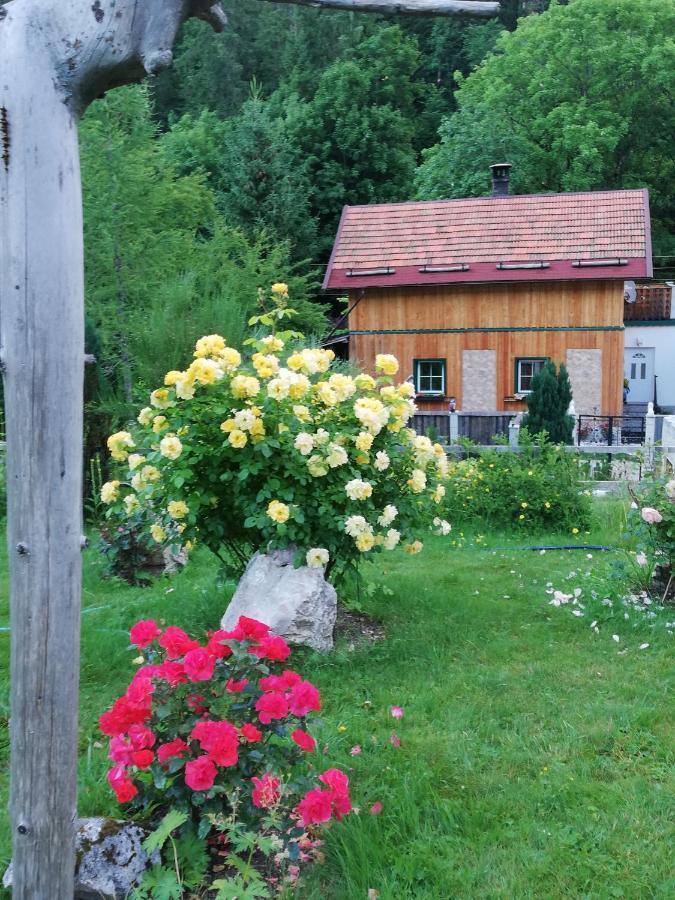 Willa Georges Rast Altaussee Zewnętrze zdjęcie