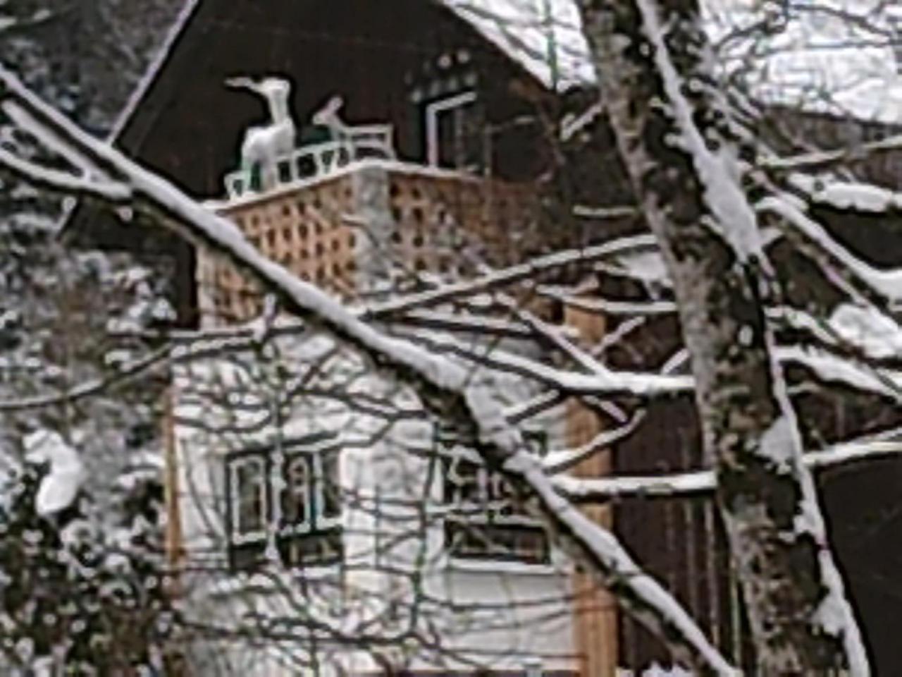 Willa Georges Rast Altaussee Zewnętrze zdjęcie